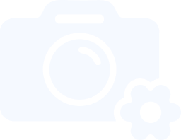 Camera repair phone image