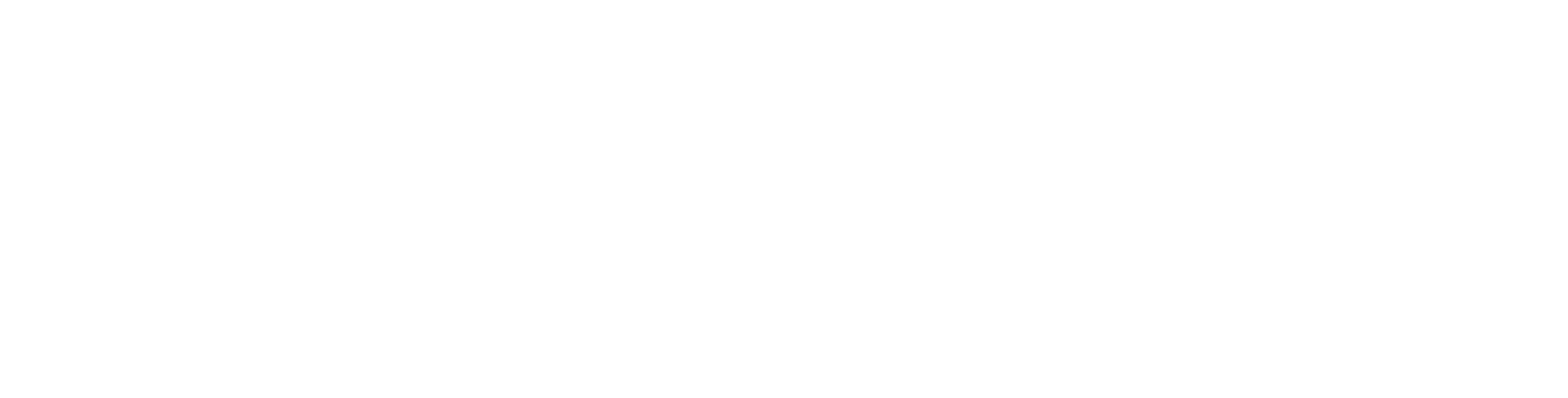 white-bg